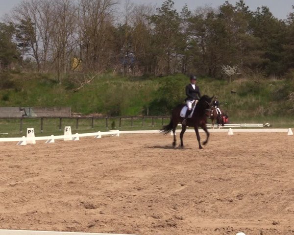 Reitturnier Colbitz 2022