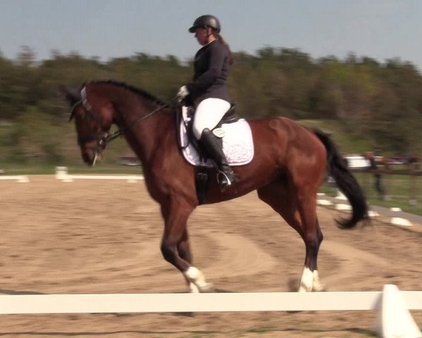 Reitturnier Colbitz 2022