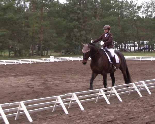 Reitturnier Altbarnim 2022