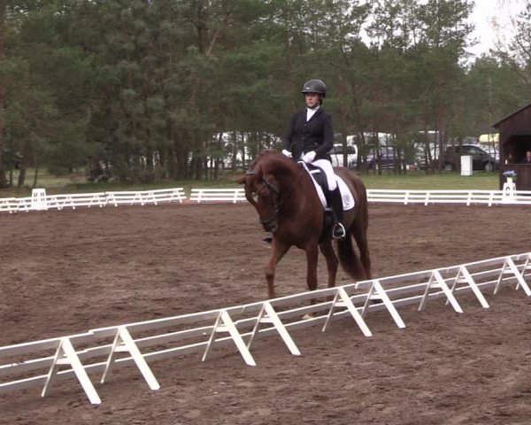 Reitturnier Altbarnim 2022