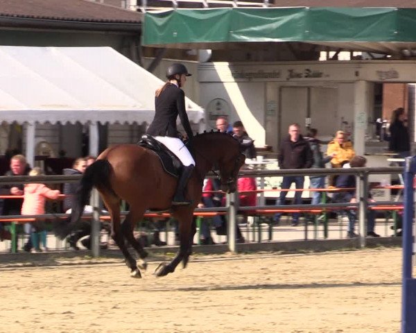 Reitturnier Kamen 2022