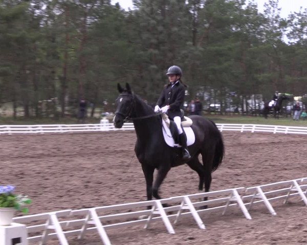 Reitturnier Altbarnim 2022