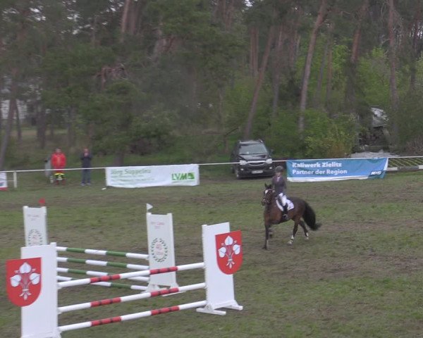 Reitturnier Colbitz 2022