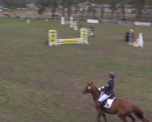 Reitturnier Colbitz 2022