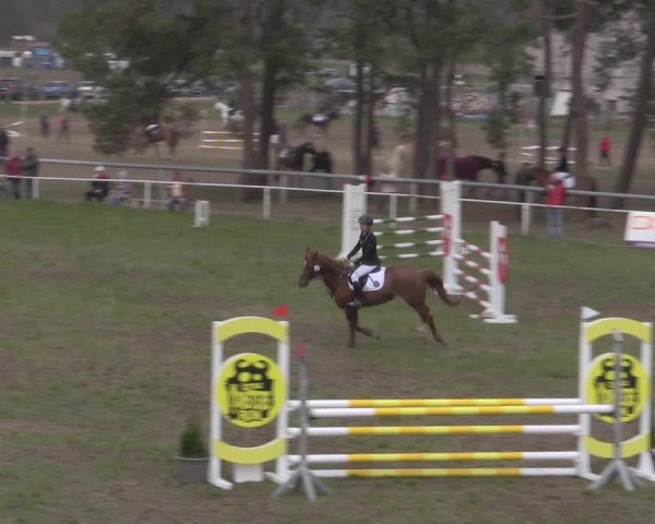 Reitturnier Colbitz 2022