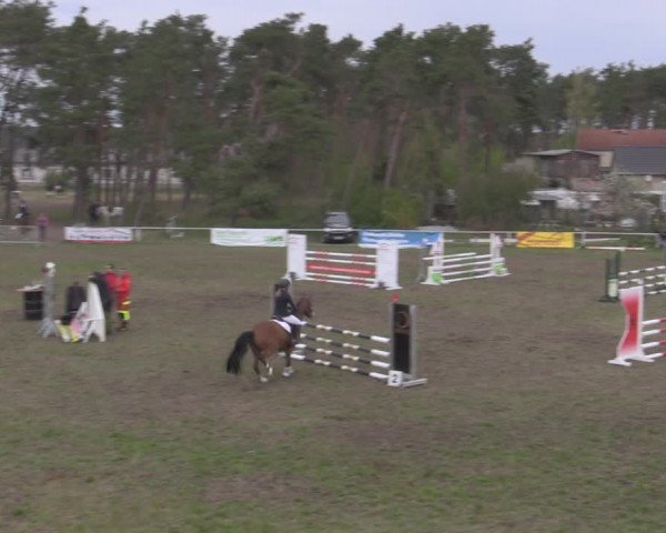 Reitturnier Colbitz 2022