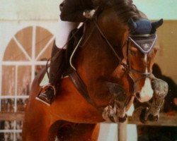 horse Eclair 18 (KWPN (Royal Dutch Sporthorse), 1995, from Ecu)
