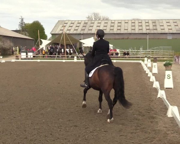 Reitturnier Kleinsolt 2022