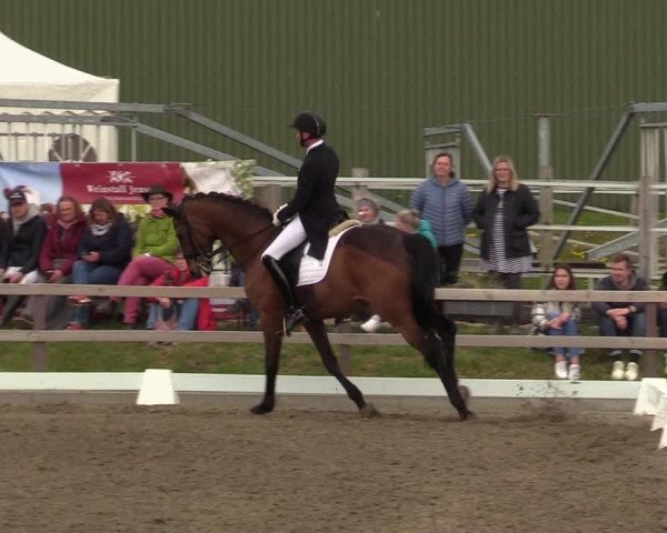 Reitturnier Kleinsolt 2022