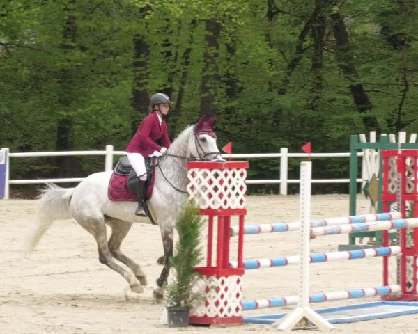Reitturnier Losheim am See 2022
