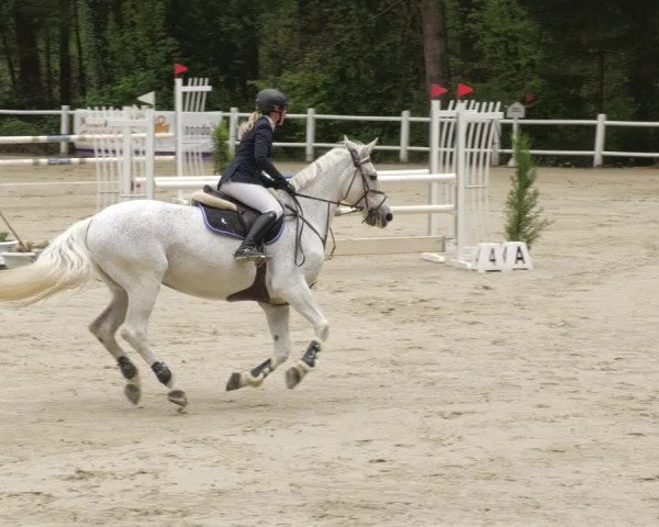 Reitturnier Losheim am See 2022