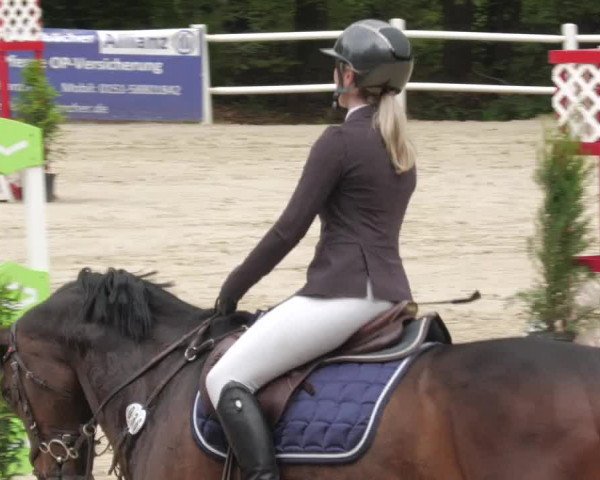 Reitturnier Losheim am See 2022