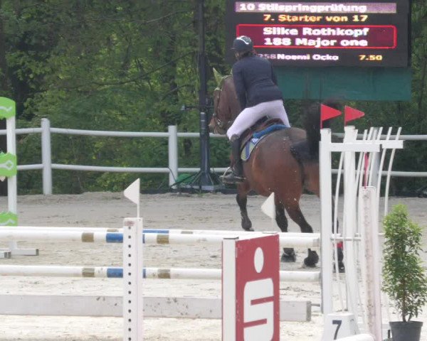 Reitturnier Losheim am See 2022