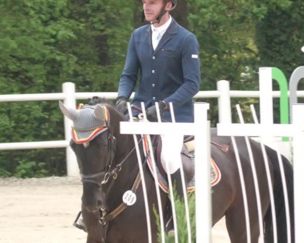 Reitturnier Losheim am See 2022