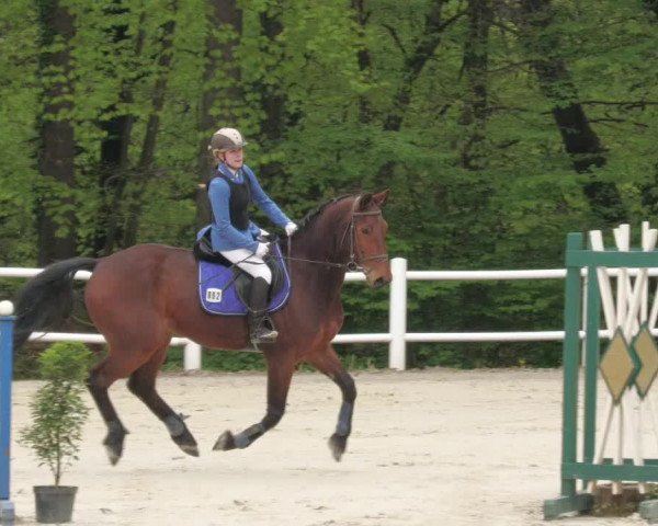 Reitturnier Losheim am See 2022
