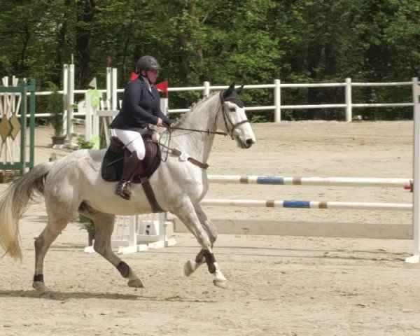 Reitturnier Losheim am See 2022