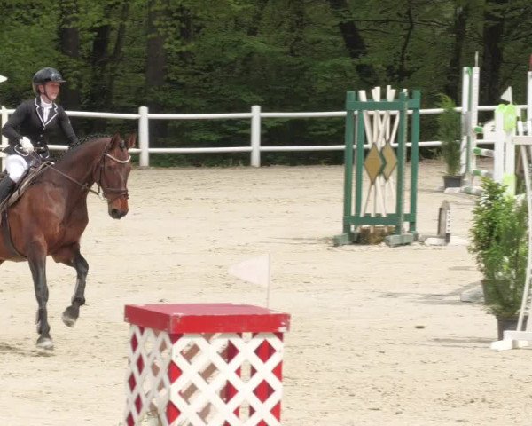 Reitturnier Losheim am See 2022
