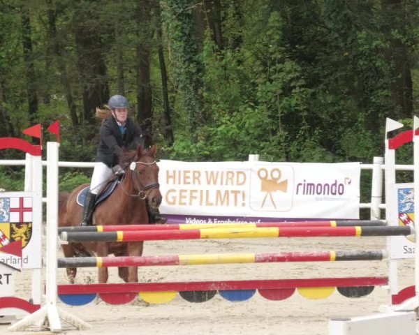 Reitturnier Losheim am See 2022