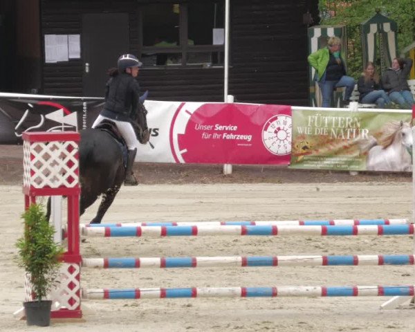 Reitturnier Losheim am See 2022