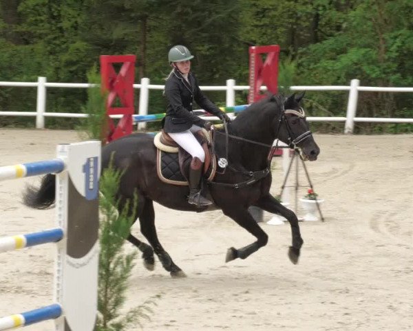 Reitturnier Losheim am See 2022