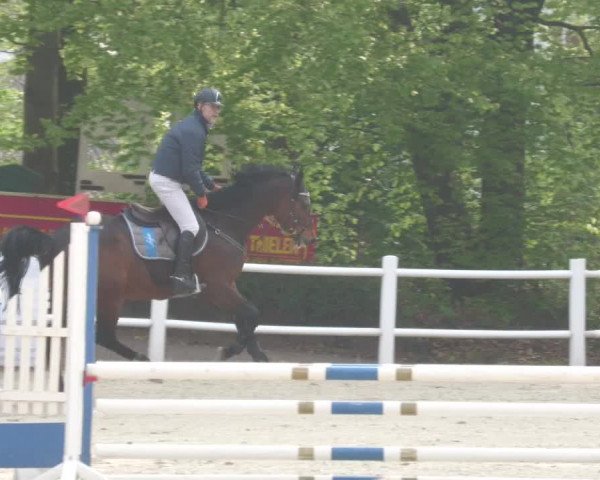 Reitturnier Losheim am See 2022