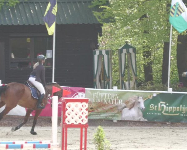 Reitturnier Losheim am See 2022
