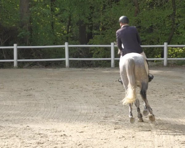 Reitturnier Losheim am See 2022