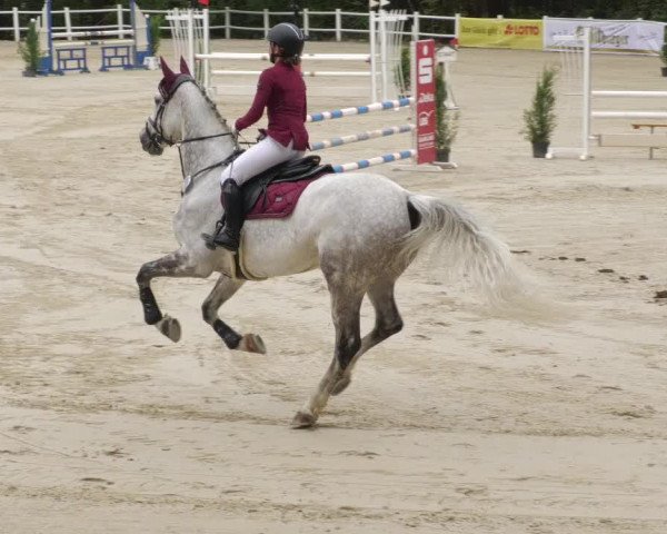 Reitturnier Losheim am See 2022