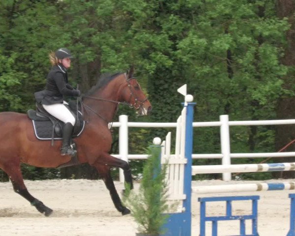 Reitturnier Losheim am See 2022