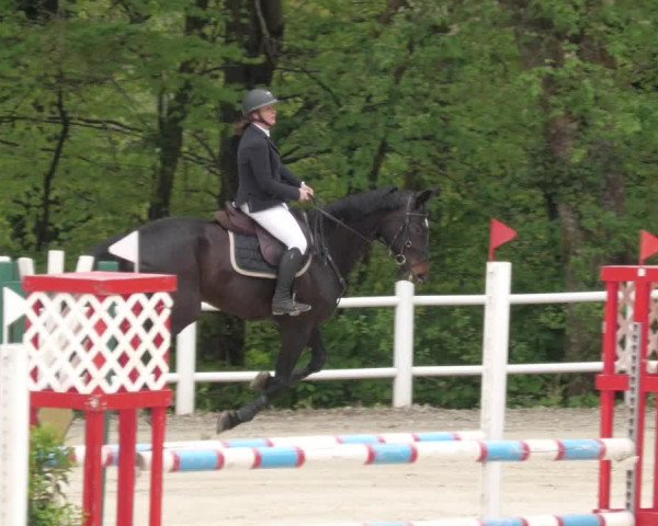 Reitturnier Losheim am See 2022