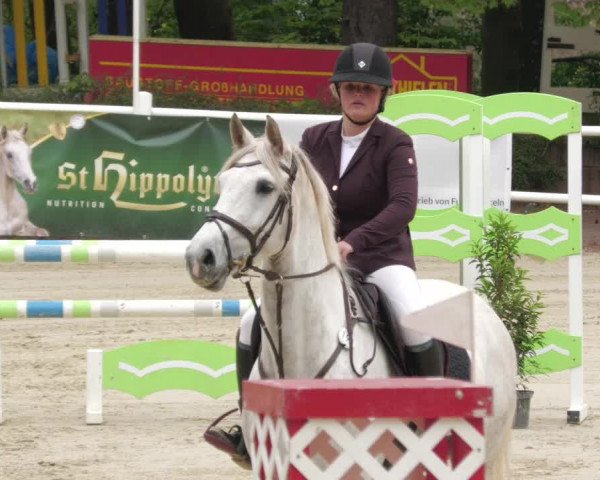 Reitturnier Losheim am See 2022
