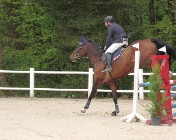 Reitturnier Losheim am See 2022