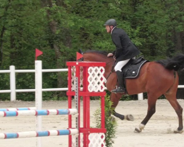 Reitturnier Losheim am See 2022