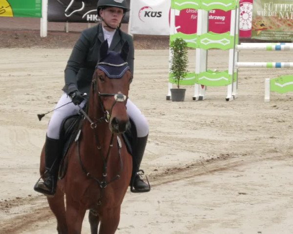 Reitturnier Losheim am See 2022