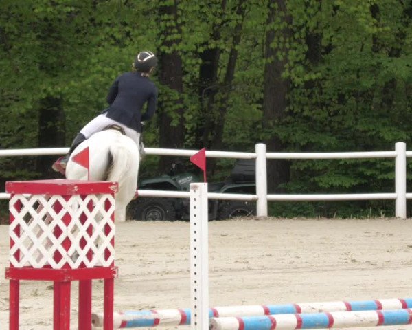 Reitturnier Losheim am See 2022