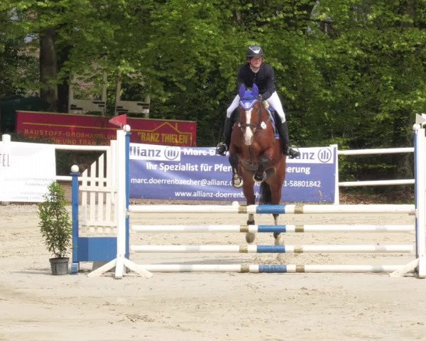 Reitturnier Losheim am See 2022