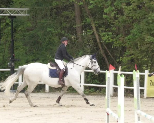 Reitturnier Losheim am See 2022