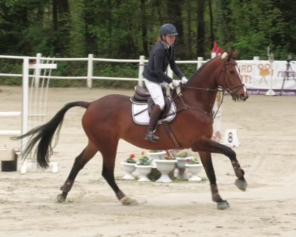 Reitturnier Losheim am See 2022