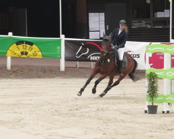 Reitturnier Losheim am See 2022