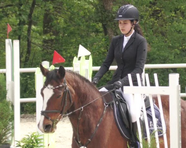 Reitturnier Losheim am See 2022
