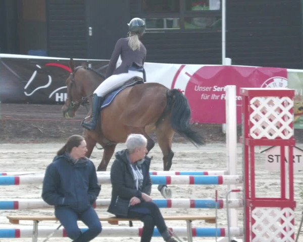 Reitturnier Losheim am See 2022