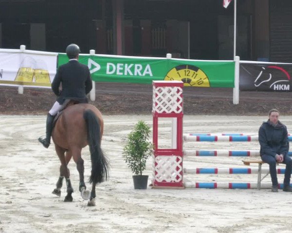 Reitturnier Losheim am See 2022
