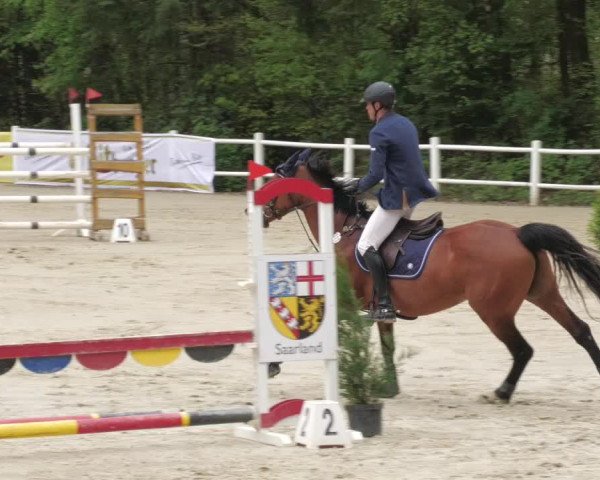 Reitturnier Losheim am See 2022