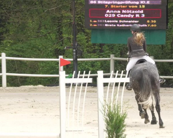 Reitturnier Losheim am See 2022