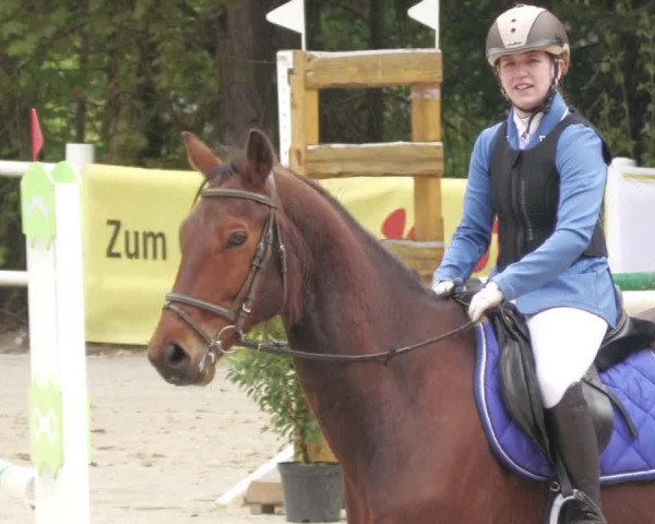 Reitturnier Losheim am See 2022