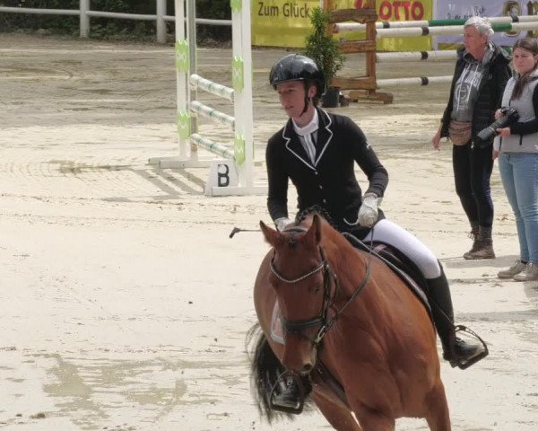 Reitturnier Losheim am See 2022