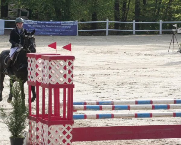 Reitturnier Losheim am See 2022