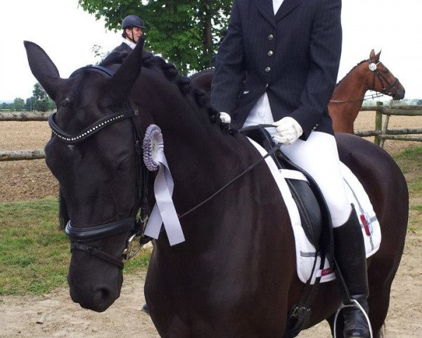 dressage horse Latimer's Girl (Hanoverian, 2001, from Latimer)