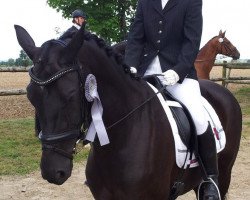 dressage horse Latimer's Girl (Hanoverian, 2001, from Latimer)