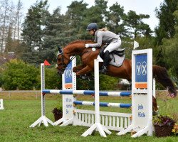 Springpferd Take It Easy 27 (Deutsches Reitpony, 2011, von Trentino)